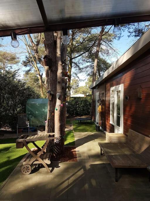 3 Bedroom Chalet On Camping Gt Balen Esterno foto